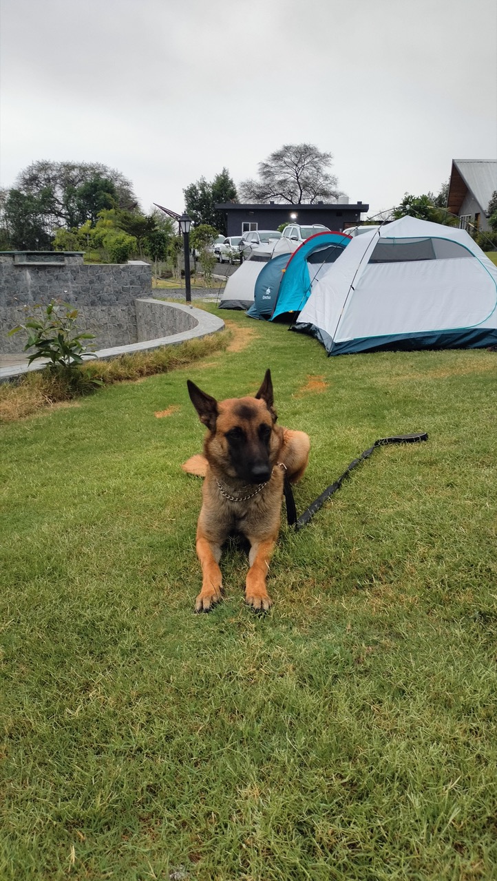 Furventures - Pet Adventures & Events - Photo 83